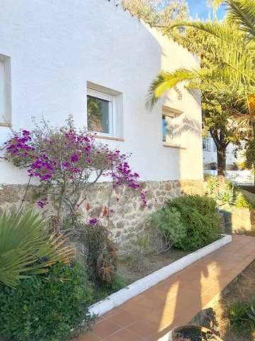 Amplio Apartamento Con Jardin En Almadrava Росес Екстер'єр фото